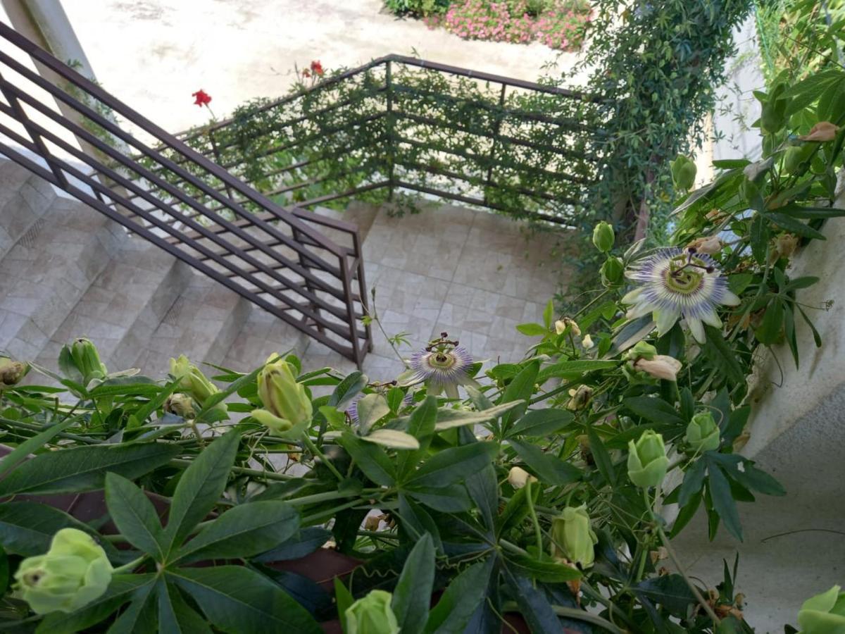 Hotel Flamingo Anaklia Zewnętrze zdjęcie
